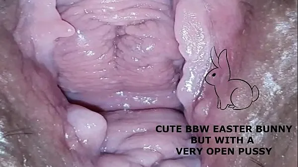 XXX Cute bbw bunny, but with a very open pussy 신선한 클립
